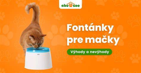 Infografika: výhody kožených obojkov pre mačky