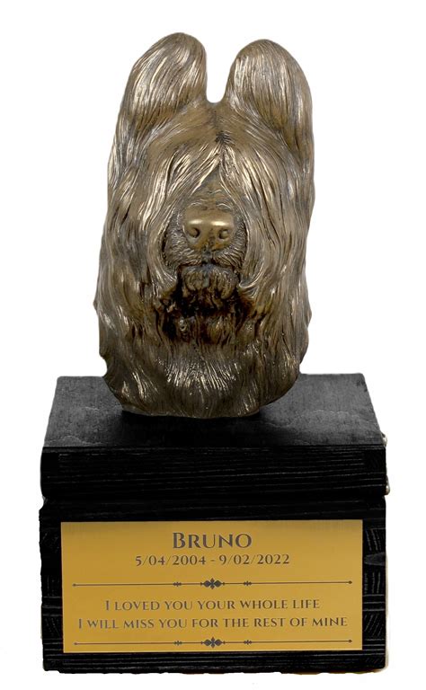 Hravý francúzsky ovčiak Briard