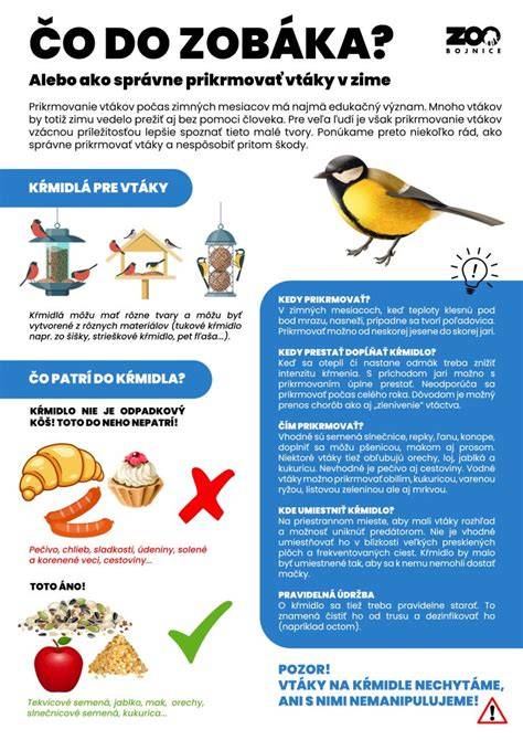 Infografika: Čo robiť v prípade, že pes zje cudzie teliesko