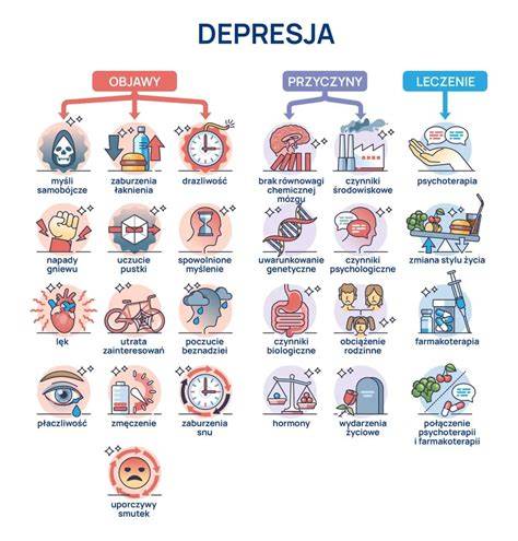 Infografika: Canisterapia - proces, tímy a typy terapií