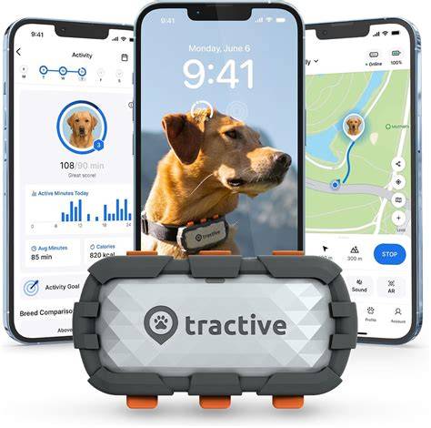 Foto: Tractive XL GPS Tracker na veľkom psovi