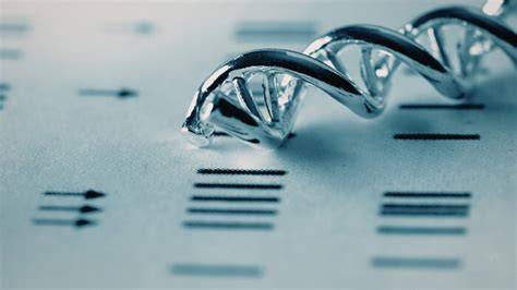 Schéma: genetické testovanie CAPN1 a ADAMTS17 - LOA a PLL v plemene