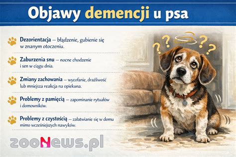 Infografika: Signály bolesti u psa a bežné zmeny správania
