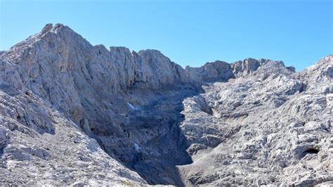 Pes s triaškou v dôsledku tepla