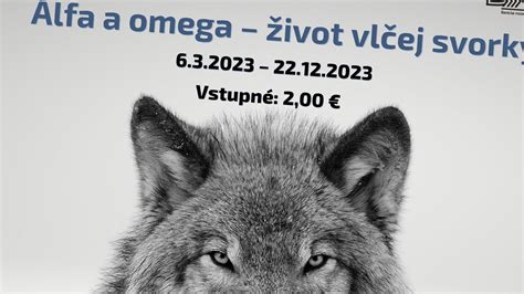 Ilustrácia vlčej svorky