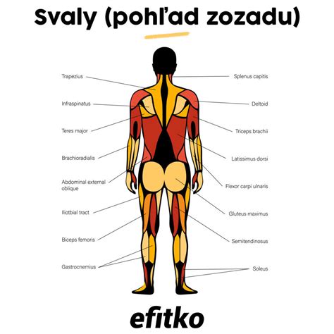 Profil ridžbeka: mohutná stavba a výrazný ridge na chrbte