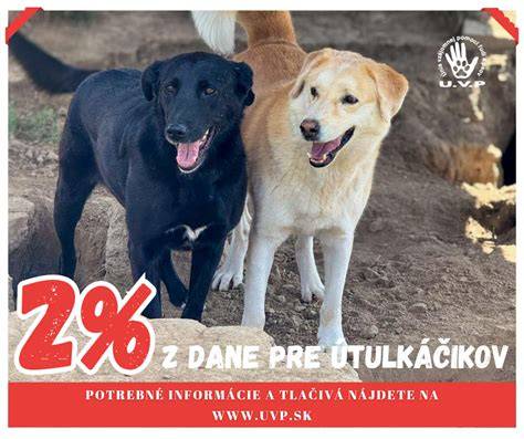 Schéma činnosti pri interakciách psov počas prechádzky