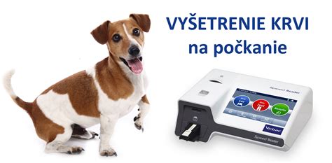 Meranie hladiny progesterónu u psov