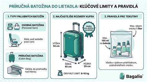 Infografika: Rozmery a váha bizóna amerického