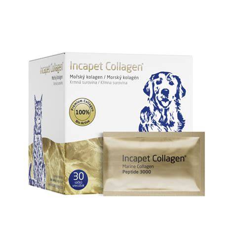 obrázok: psa s problémami s kožou a doplnkom Incapet Collagen