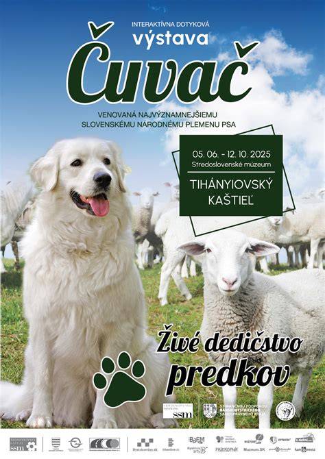 Infografika: Evolúcia psa od predkov k dnešnému plemenu