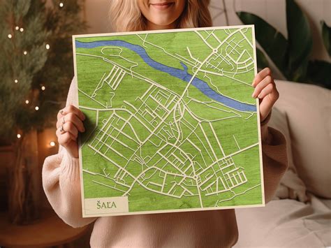 Mapa mesta Šaľa s vyznačenými oblasťami