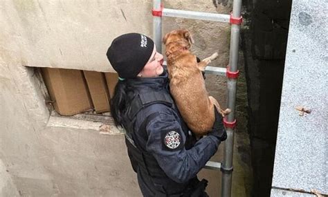 Hluchá fenka Reggie 