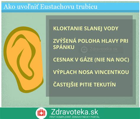 Infografika: Ako pes lokalizuje zvuk a prečo nakláňa hlavu