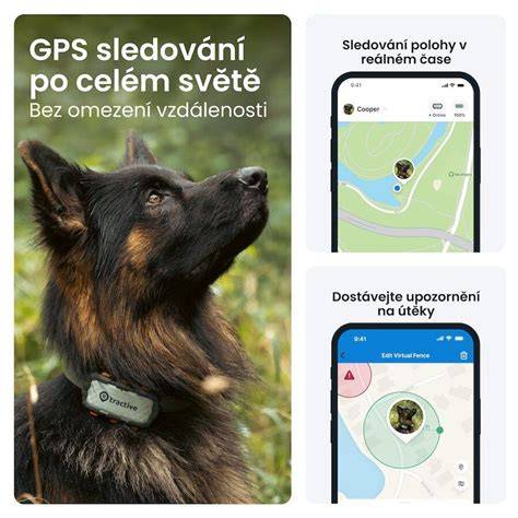 Všeobecný prehľad výbavy a doplnkov pre Jack Russell teriéra - obojky, GPS, hračky
