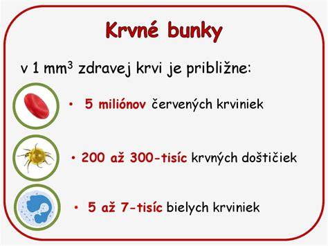 Infografika: Ako cibuľa ovplyvňuje krvné bunky a čo robiť pri otrave