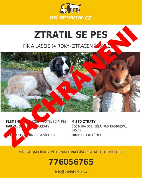 Pes reagujúci na neznáme pachy