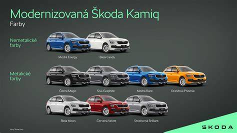 infografika: Vzhľad a farby Nemeckého špica