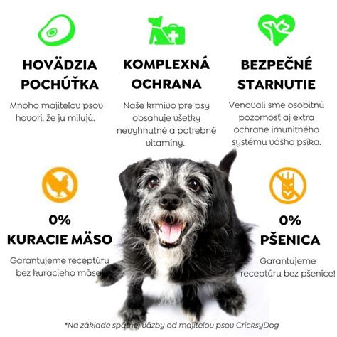 Infografika: Výživové doplnky pre psích seniorov