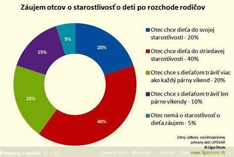 Infografika o výcviku a starostlivosti Labradora