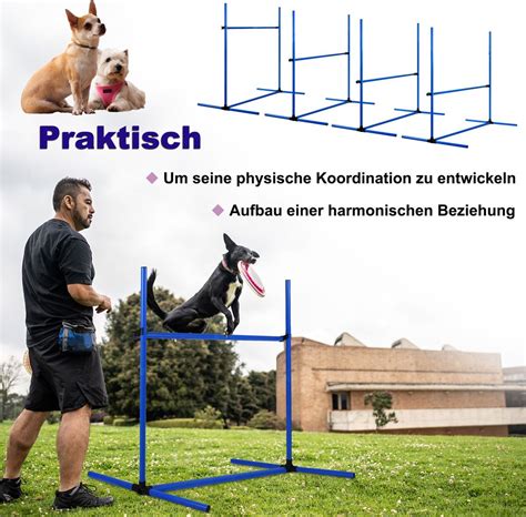 Infografika: Typy prekážok a ich rozmery pre agility