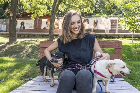 Ilustračná fotografia psíka v útulku