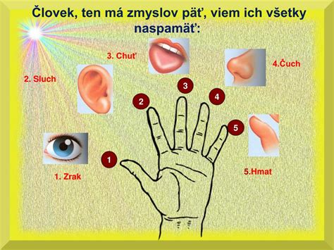 Infografika: Päť hlavných zmyslov psov a ich význam pre dorozumievanie