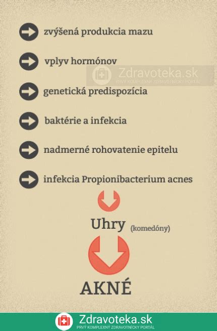 Infografika: Cesty vzniku pyometry a faktory rizika
