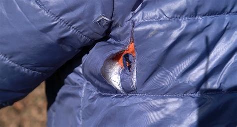 Pes Ukulele a jeho majiteľ