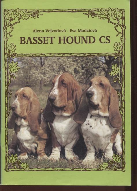 Obrázok psíka plemena Basset Hound