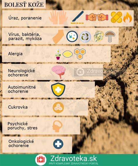 Infografika: Časti kože psa a bežné príčiny svrbenia