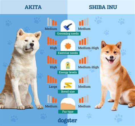 Mapa rozšírenia Shiba Inu a Akita Inu v Európe