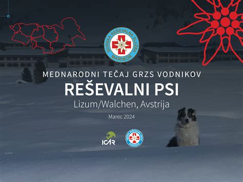Grafika znázorňujúca rôzne motivácie psov prinášať predmety
