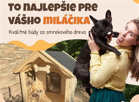 Infografika: Ako si vybrať psa