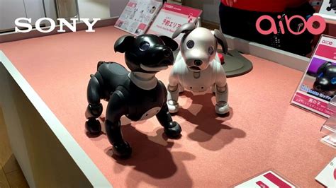 Interiér robota AIBO s viditeľnými senzormi a mechanizmami