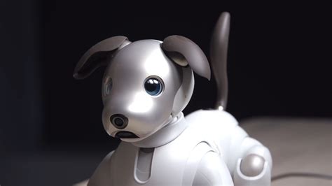 Robotický pes AIBO v interakcii s majiteľom