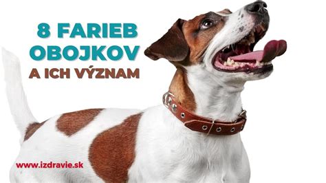 Ilustrácia výcvikového obojku so psom