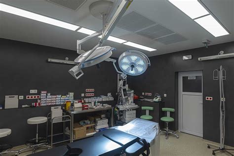 Pes pripravený na operáciu