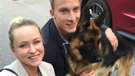 Ilustračná fotografia psa podobného Komisárovi Rexovi