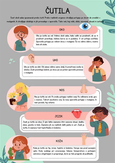 Infografika: Vzhľad amstaffa - telo, hlava, srsť, farby a typické znaky