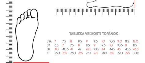 Infografika: Prehľad veľkostí pudlov a ich rozmerov podľa FCI