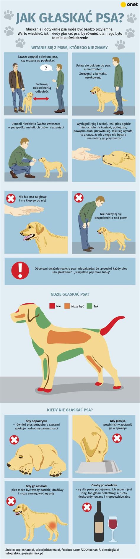 Infografika o zdraví psa