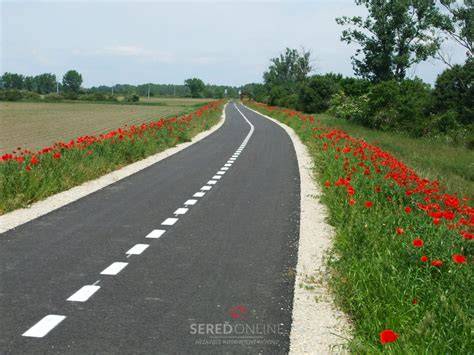 <tagimg>Linie a rozdiely medzi hrubosrstým a hladkosrstým foxteriérom