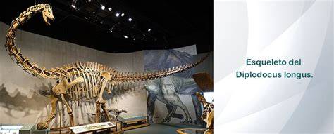 Obrázok: predchodca tanku Diplodocus militaris