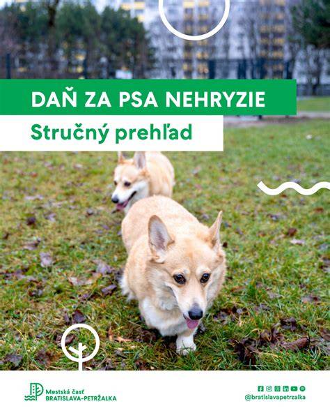 Infografika: Stručný prehľad postáv a vzťahov v Pes a jeho blog