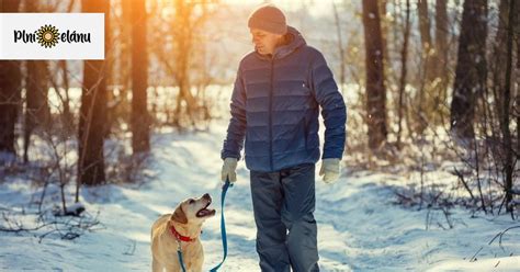 Štruktúra rodiny so psom