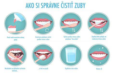 Infografika: Správna technika čistenia zubov psa
