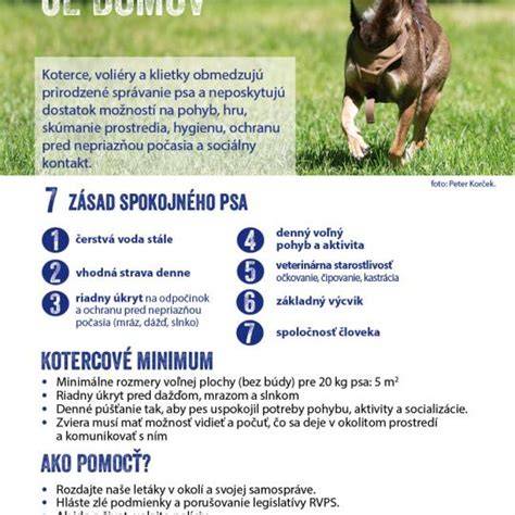 Infografika: Zákon o držaní psov na reťazi a časový plán platnosti