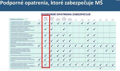 Tabuľka rizík a nápravných opatrení pri bežných chybách pri starostlivosti o psa