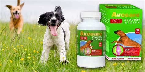 zdravá výživa pre psov